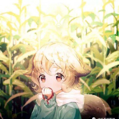阿耳忒弥斯2号传回月球地落照
